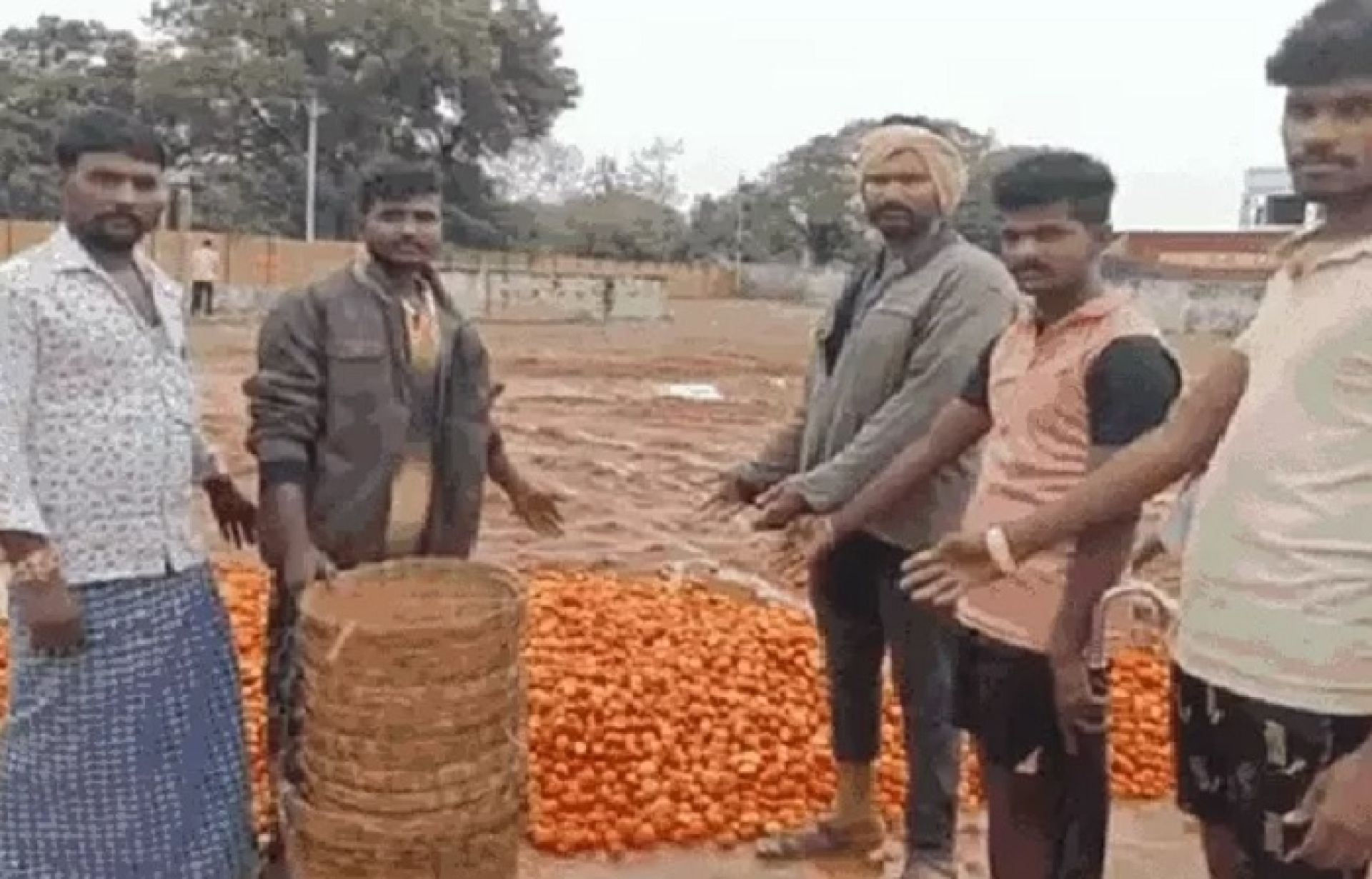 टमाटरको उचित मूल्य नपाउँदा भारतीय कृषकहरु सडकमा, निर्यात बढाउन माग